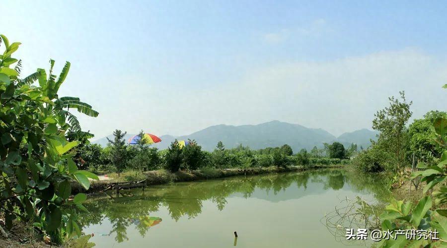 高铁酸钾净水除臭、氧化改底、絮凝沉淀、祛除硫化氢您用对了吗？