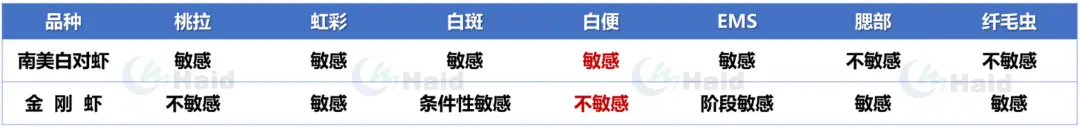 斑节王对虾养殖技术_斑节对虾养殖视频_斑节对虾淡水养殖