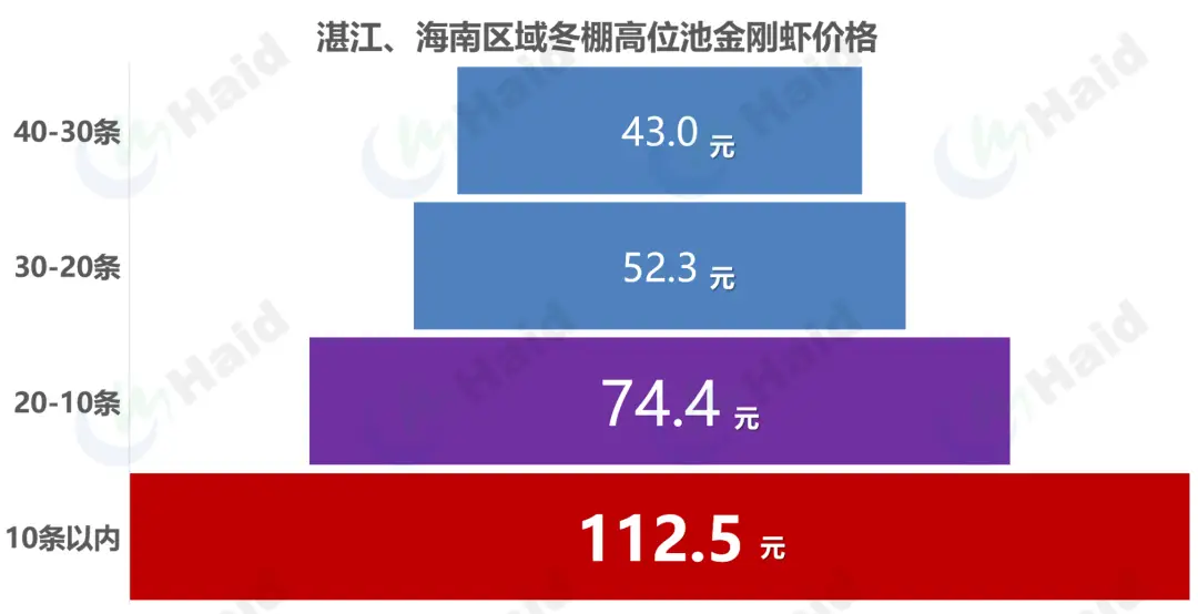 斑节对虾淡水养殖_斑节王对虾养殖技术_斑节对虾养殖视频