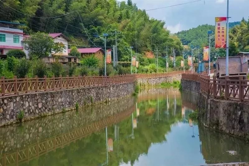 福建葡萄种植基地在哪里_福建种葡萄吗_福建种植葡萄致富