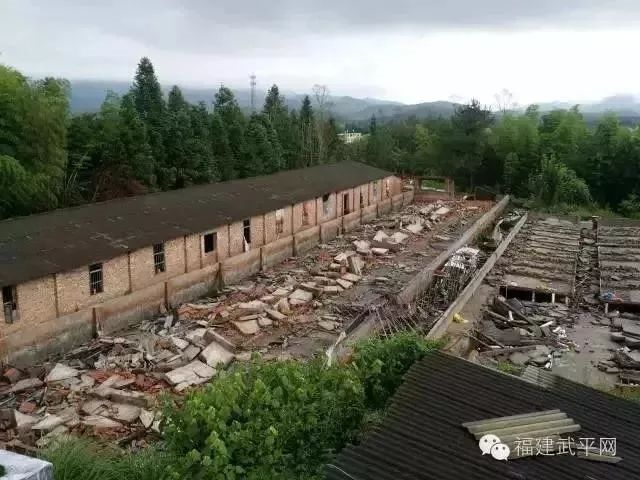 福建种葡萄吗_福建葡萄种植基地在哪里_福建种植葡萄致富