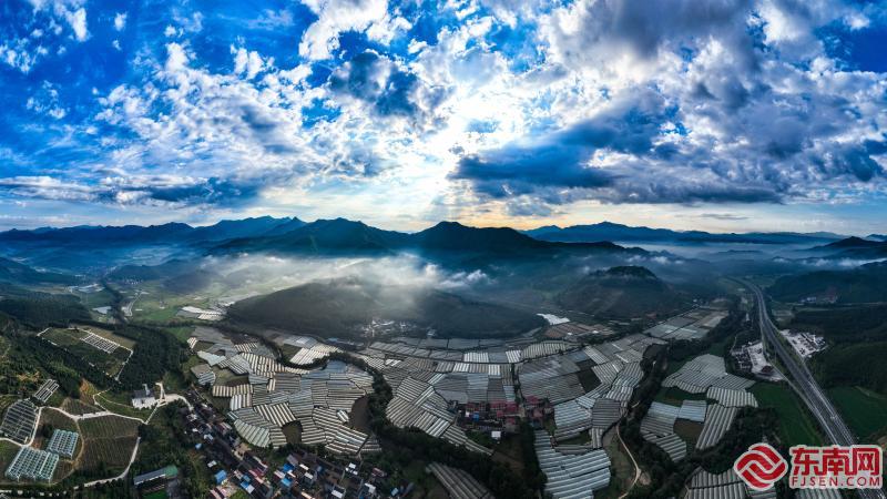 俯瞰仁山村葡萄种植基地 吴大灼 摄