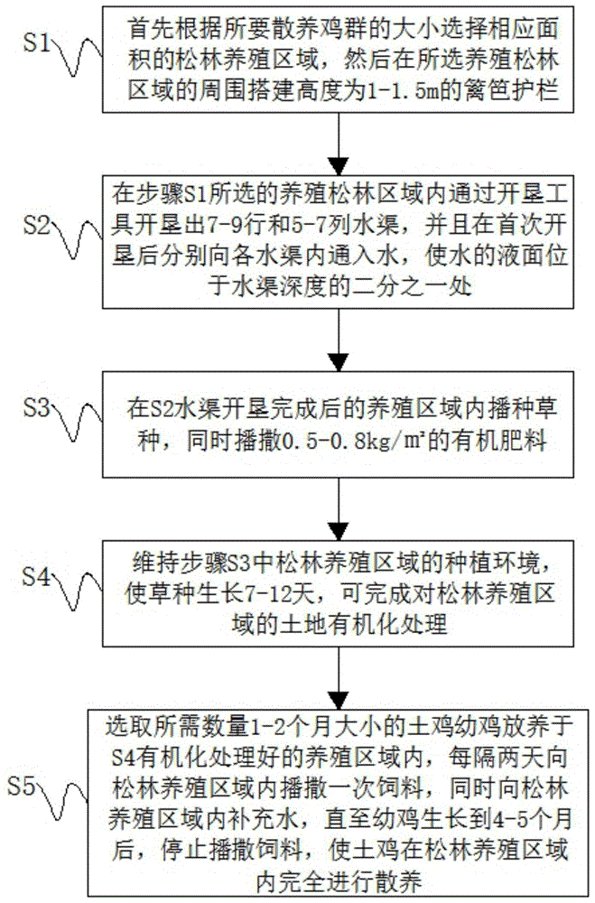 一种松林散养土鸡的方法与流程