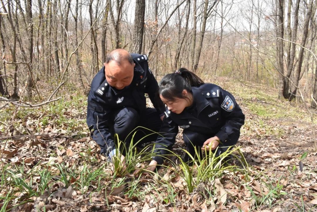 致富种植蕙兰视频_种植蕙兰致富_致富种植蕙兰图片