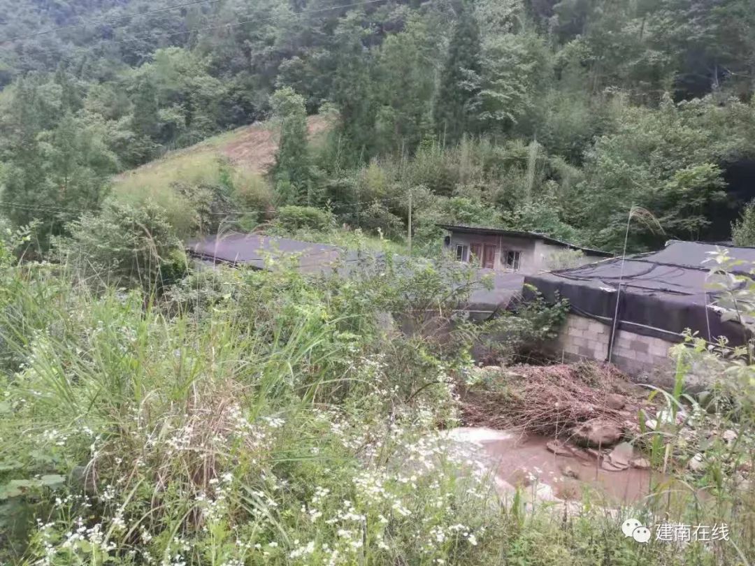 致富经黄粉虫养殖基地_致富经黄粉虫养殖基地_致富经黄粉虫养殖基地