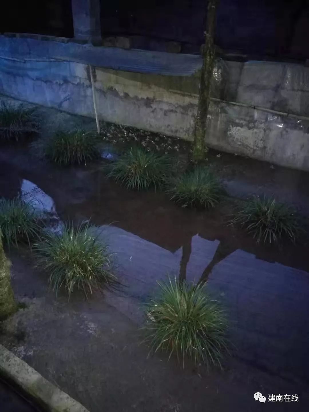 致富经黄粉虫养殖基地_致富经黄粉虫养殖基地_致富经黄粉虫养殖基地