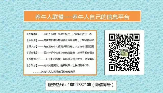 致富养殖母牛技术视频_母牛养殖技术致富经_致富养殖母牛技术培训