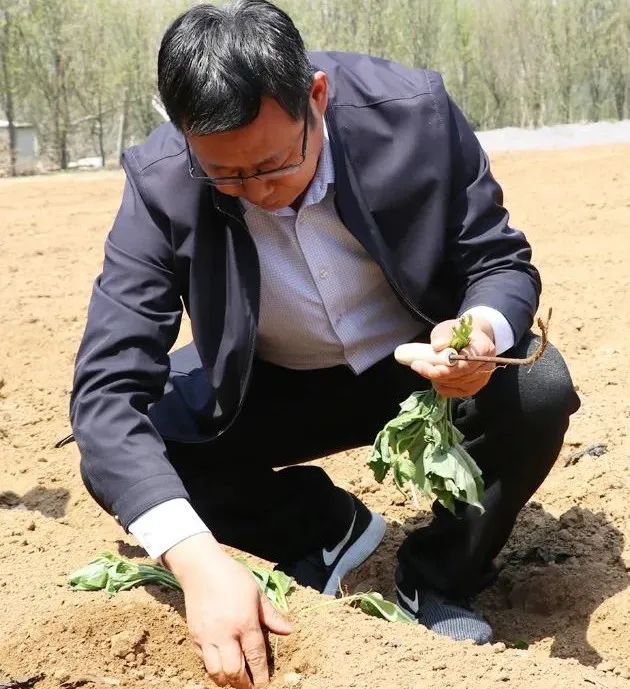 致富课堂种植_致富种植视频全集_致富经种植业