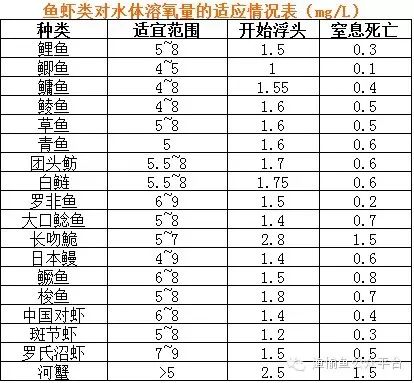 螃蟹致富养殖高密度饲料_致富经高密度养殖螃蟹_螃蟹致富养殖高密度肥料