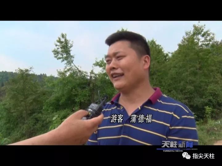 白市镇新舟村：桑葚种植拓宽致富路