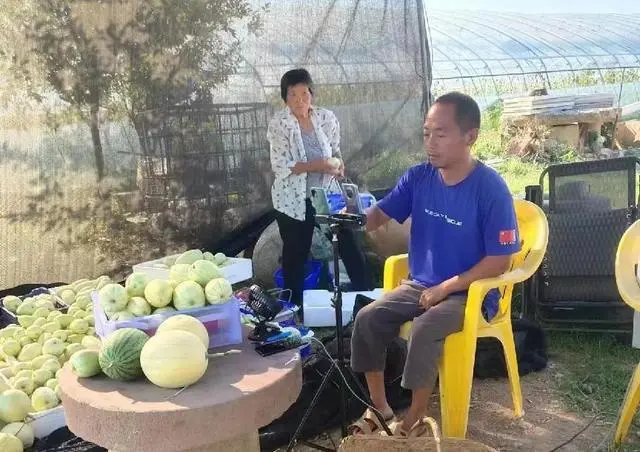 适合河南种植致富项目_河南种植致富视频_河南种植业致富项目