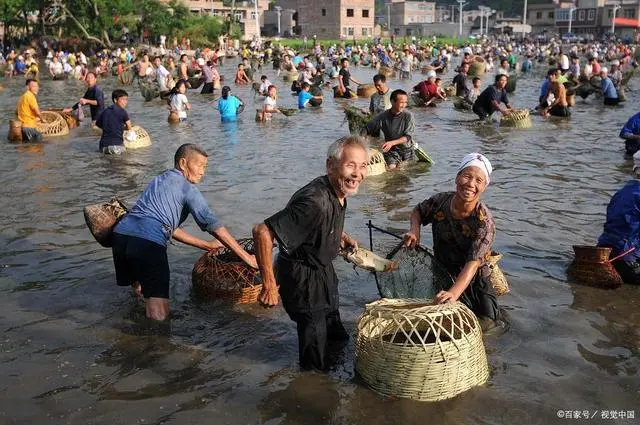 草鱼的养殖技术和密度_草鱼饲养密度计算_密度养殖草鱼技术要求