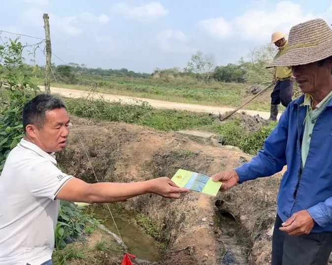 豇豆种植技术与管理_豇豆种植技术相关推荐_豇豆种植技巧