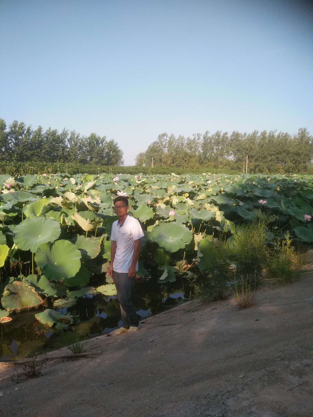 刘克顶：人残志坚，莲子铺出致富路