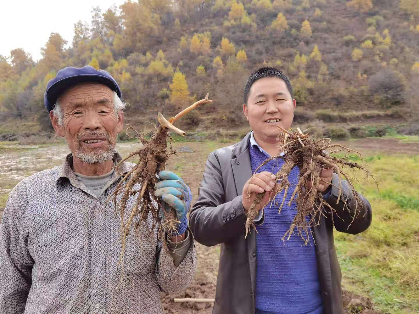 养殖致富网养鸡_养鸡视频致富经_养殖鸡致富经视频