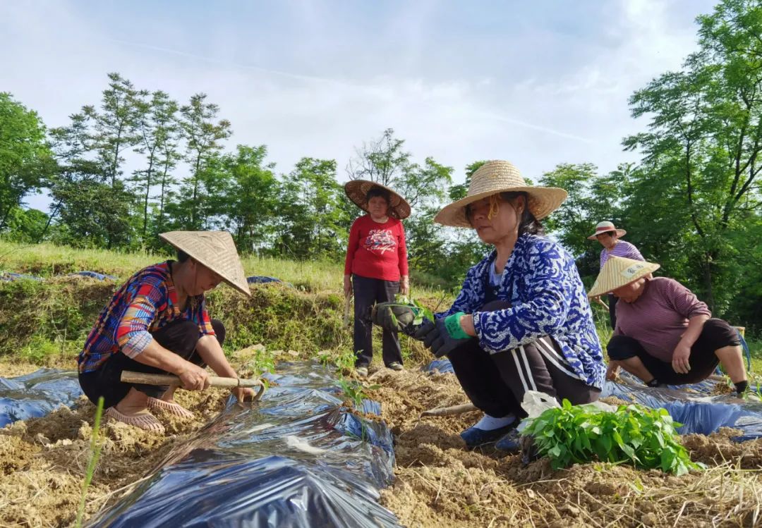 南宁养殖业_南宁养殖致富_南宁市养殖有限责任公司