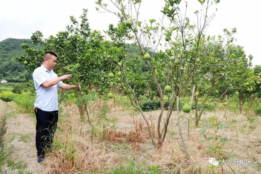 南宁市养殖有限责任公司_南宁养殖业_南宁养殖致富