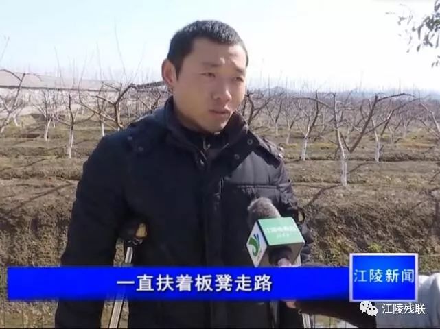 致富经肉鸽养户_致富户养肉鸽怎么样_致富经养肉鸽视频