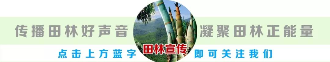 【我们的新时代】田林八洞村：念好养牛致富经