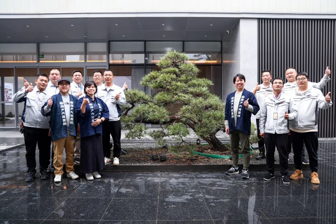 松树种植日本技术与管理_日本松树如何种植技术_松树种植日本技术怎么样