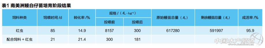 美洲养殖鳗鱼技术规范_美洲鳗鱼养殖技术_美洲鳗养殖方法