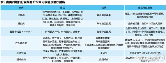 美洲鳗鱼养殖技术_美洲养殖鳗鱼技术规范_美洲鳗养殖方法