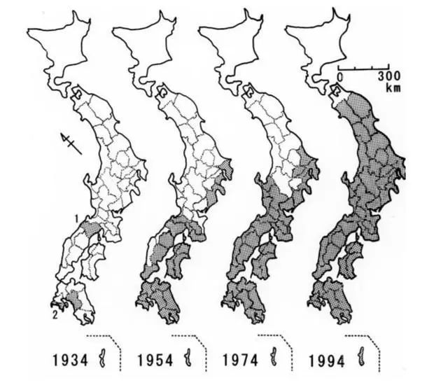 日本松树如何种植技术_日本松树种子怎么种_松树种植日本技术与管理