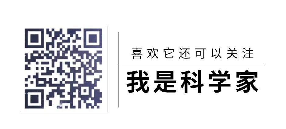 日本松树如何种植技术_日本松树种子怎么种_松树种植日本技术与管理