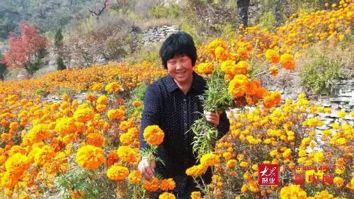 淄博淄川太河镇下端士村：闲置资源盘活 乡村旅游开“花”结“果”