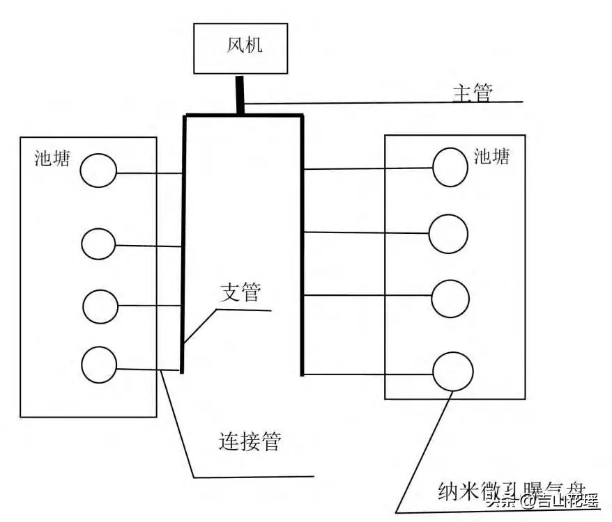 北方冬季生态高效养殖罗非鱼技术