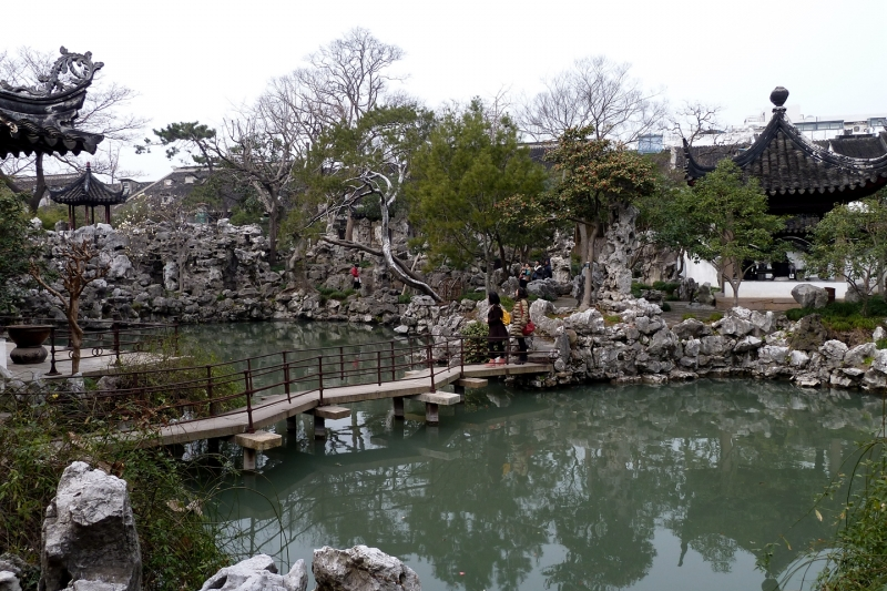 松树种植日本技术要求_日本松树种子怎么种_日本松树如何种植技术