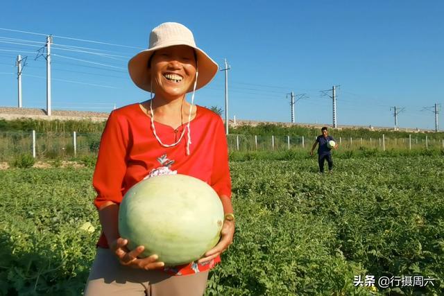 致富经西瓜种植全视频_农民种植西瓜致富_致富西瓜种植农民图片