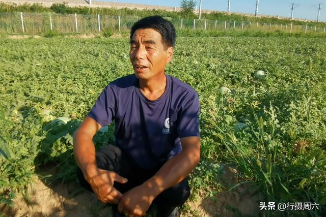 致富经西瓜种植全视频_致富西瓜种植农民图片_农民种植西瓜致富