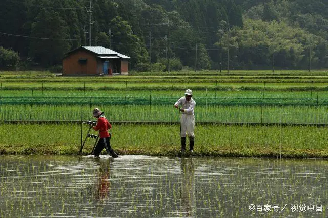 新疆租地种植致富_在新疆租地多少钱一亩_新疆租地