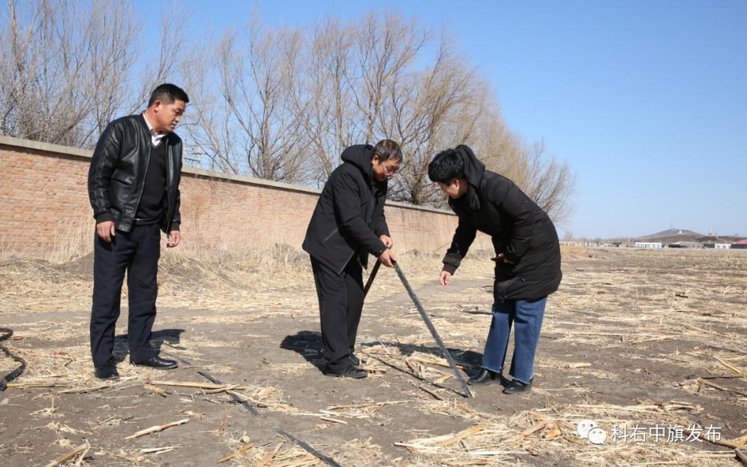 屋顶养殖什么能挣钱_房顶致富养殖_屋顶养殖