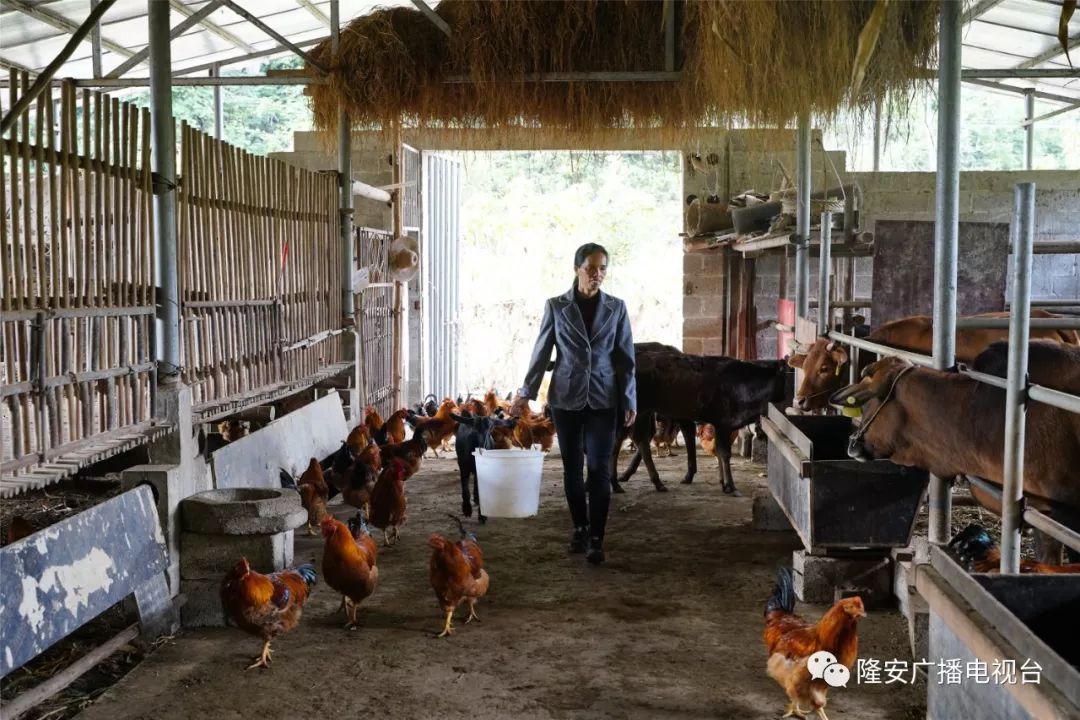 种植致富带头人主要事迹_农村党员种植带头致富事迹_党员致富 种植