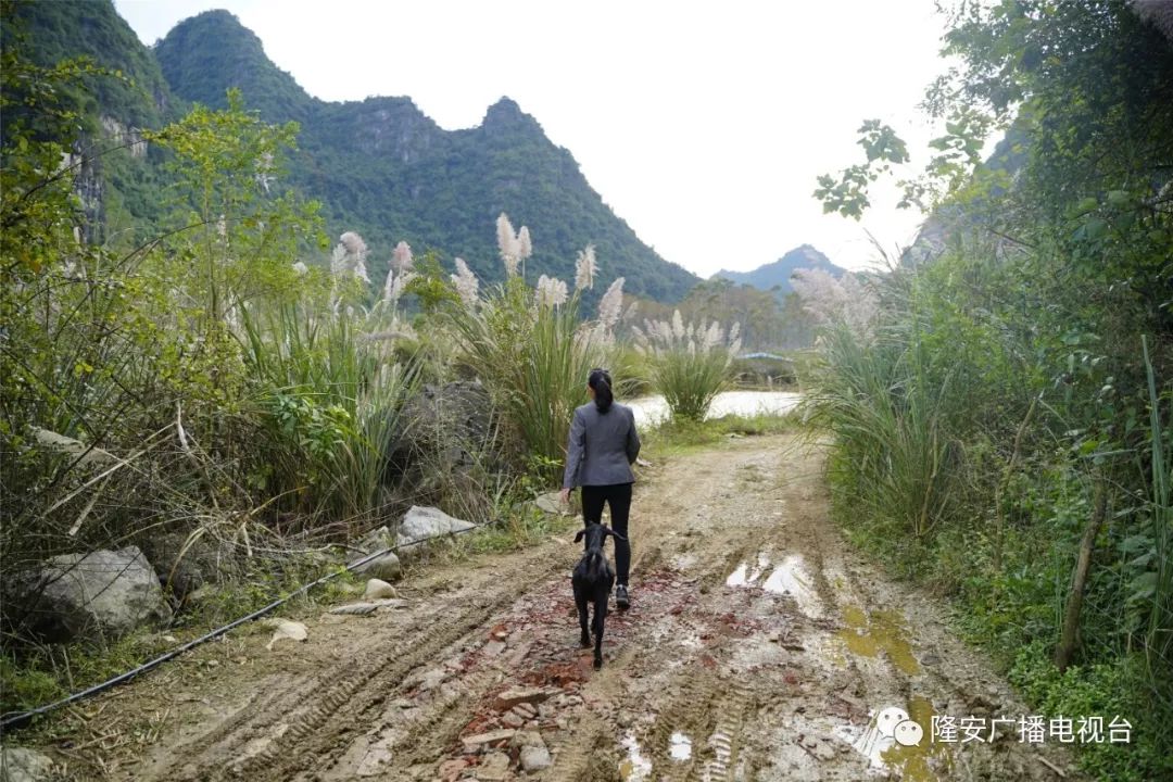 党员致富 种植_农村党员种植带头致富事迹_种植致富带头人主要事迹