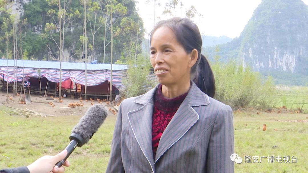 党员致富 种植_种植致富带头人主要事迹_农村党员种植带头致富事迹