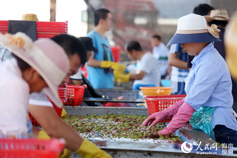 屋顶养殖什么能挣钱_致富养殖房顶设计图_房顶致富养殖