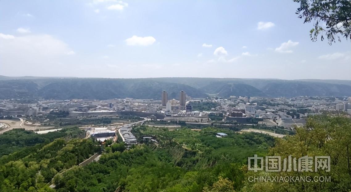 【津甘协作花 绽放红土地】羊关道越走越宽 ——庆城县现代化肉羊“繁育推”一体化产业园巡礼