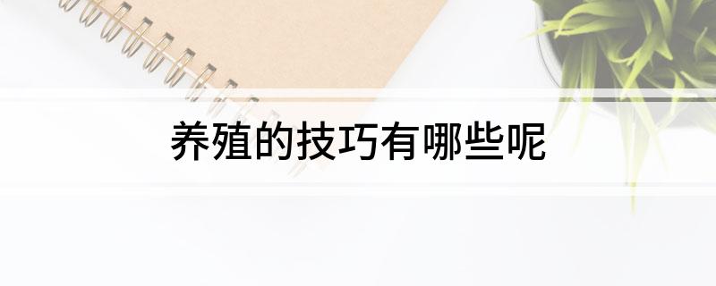 养殖的技术_养殖技术培训内容_蝇蛆养殖技术