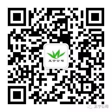 凉薯的种植_种植技术凉薯方法_凉薯怎样种植技术