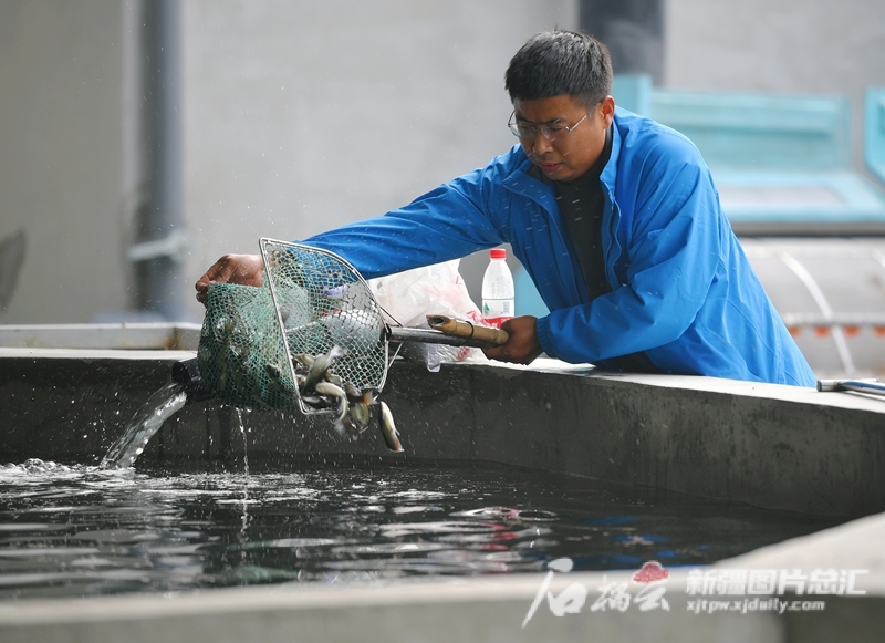 南方养殖致富项目_致富养殖业_致富养殖南方项目有哪些