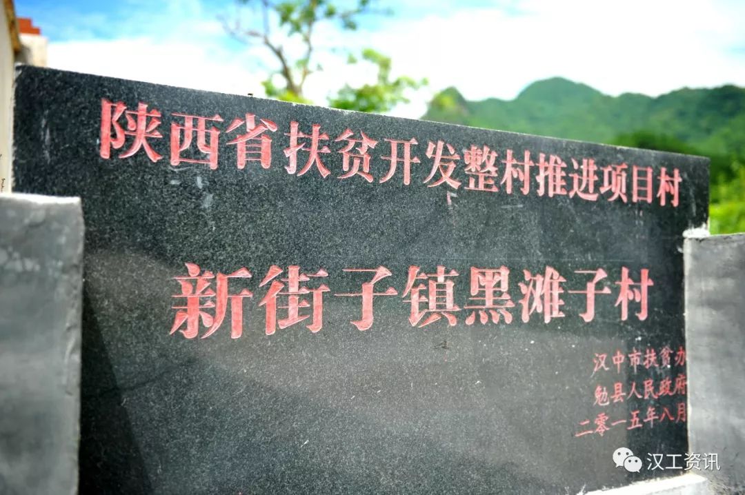 致富经黑山羊养殖_黑山羊致富经_致富经黑山羊放羊创业