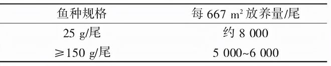 培训养殖黑鱼技术视频_黑鱼养殖技术培训_培训养殖黑鱼技术要求