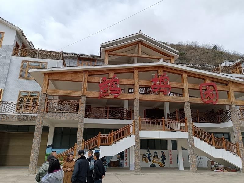 三农致富经养鹧鸪_致富经鹧鸪_鹧鸪养殖加盟