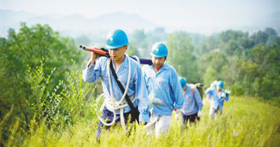 农村致富养殖信息_农村致富新项目养殖_山村养殖致富项目