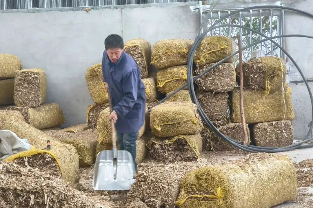 养殖视频致富经_养殖致富项目视频_循环养殖致富视频