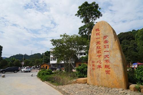 麻竹笋高产技术_致富麻笋竹种植视频_种植麻竹笋致富