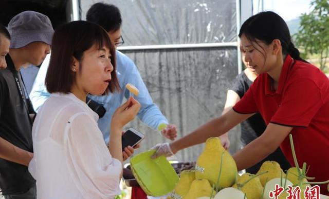 梅州梅江区太平村：现代化农业种植铺就脱贫致富路